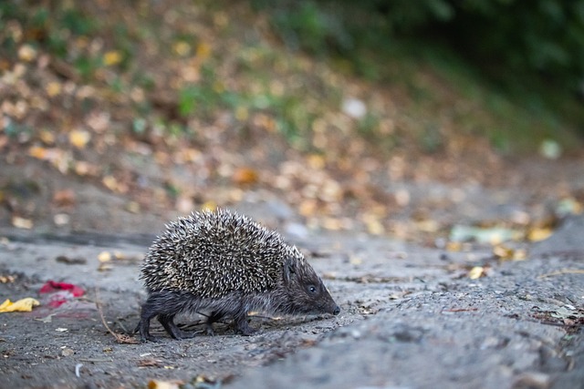 位于浙江的 位于浙江的