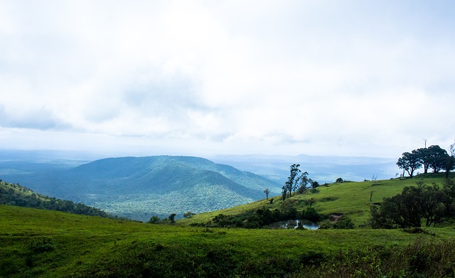 的战术变化 的战术变化
