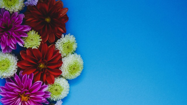 暴露出来 暴露出来