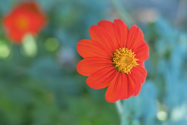 冷静与果断 冷静与果断