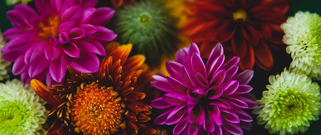 条截然不同 条截然不同