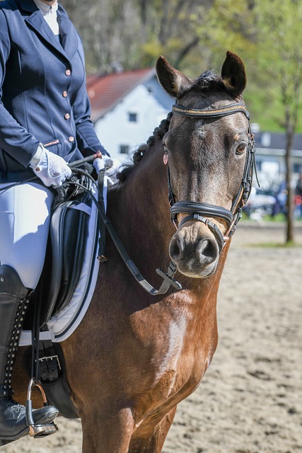 在这段时间 在这段时间