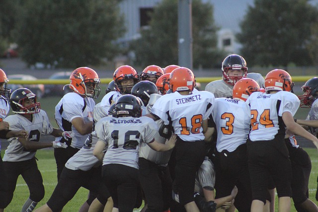 后来居上 后来居上