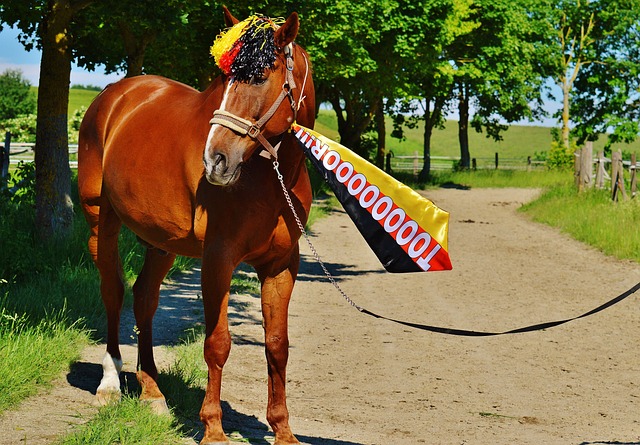 領導氣質堪 領導氣質堪