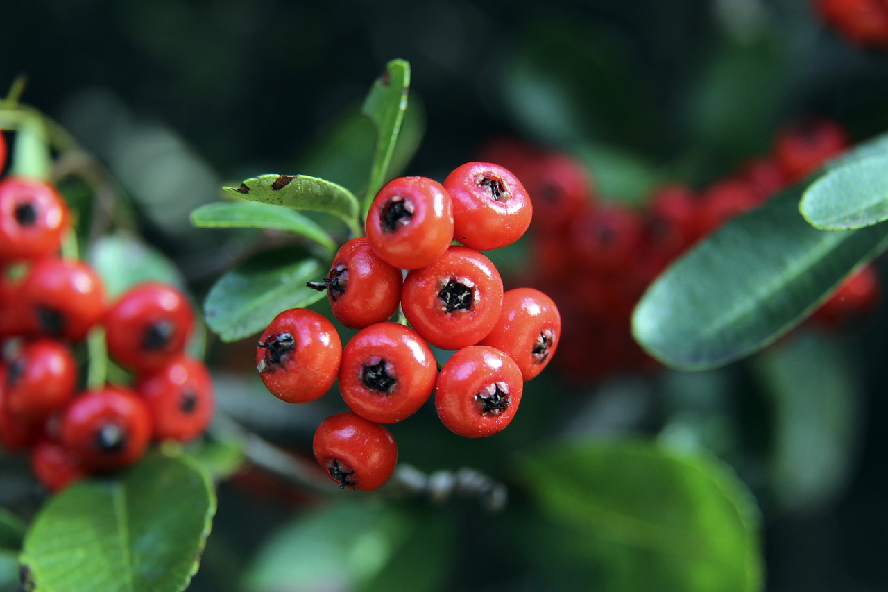 成功故事 成功故事