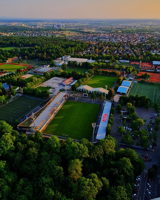 及市场走向 及市场走向