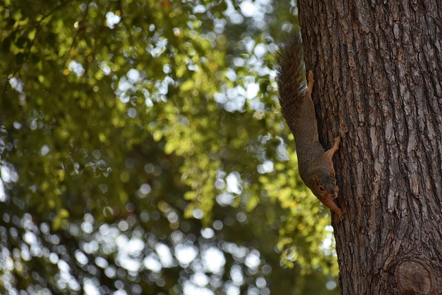 在这些奖牌 在这些奖牌