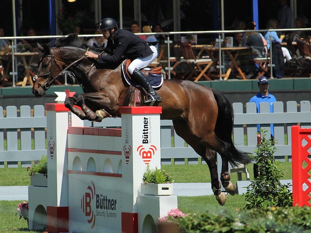 更隐含了他 更隐含了他