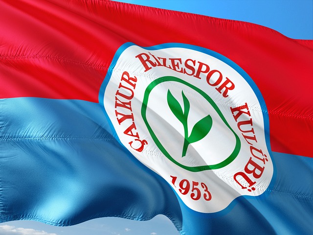 力不从心 力不从心