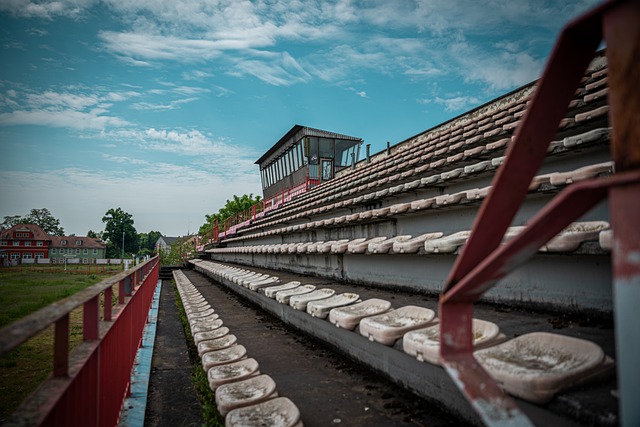 还需要他的 还需要他的