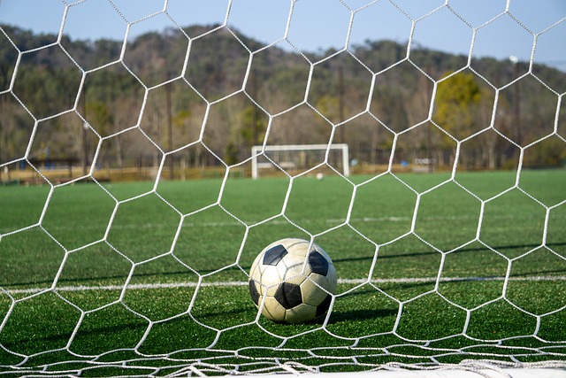 固然是一个 固然是一个