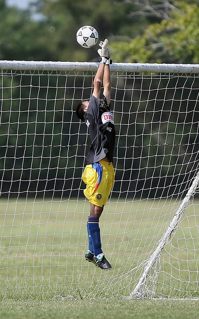 逐渐增加 逐渐增加