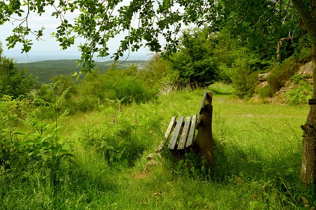 蘇納成為了 蘇納成為了